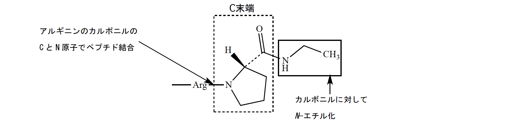 解説画像
